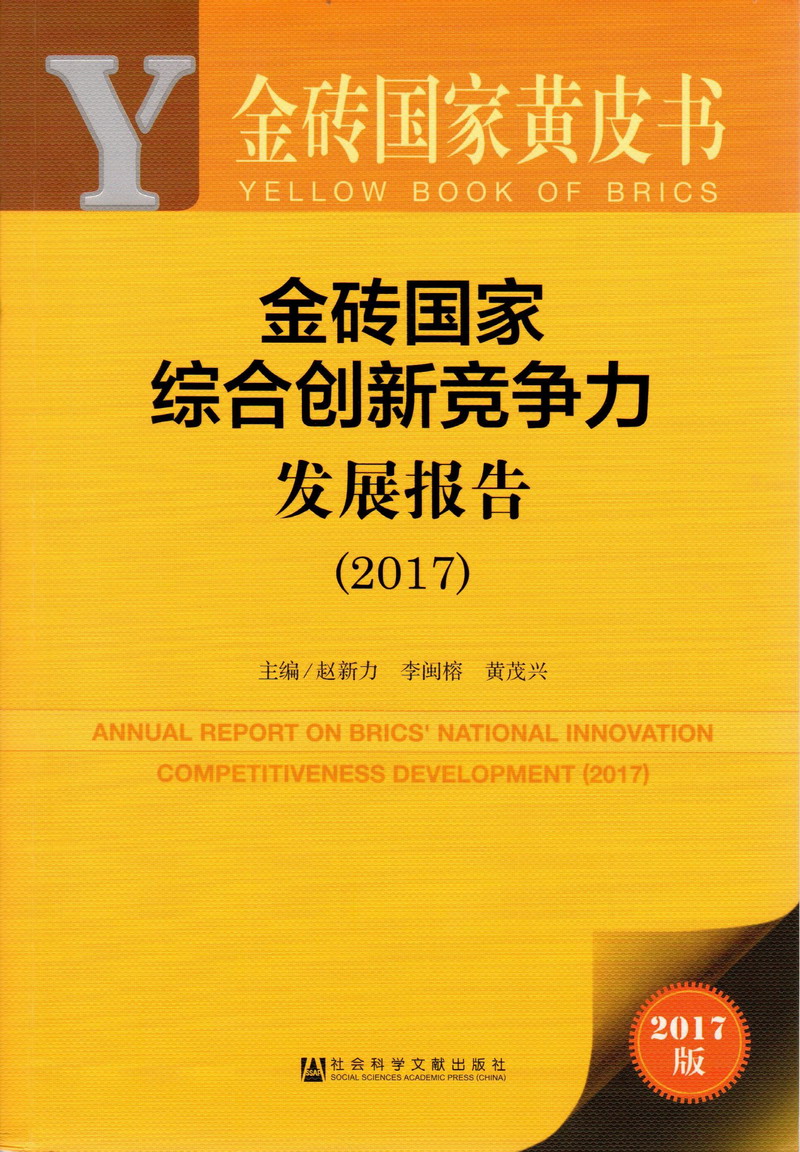 骚货，流水了，让我爽歪歪金砖国家综合创新竞争力发展报告（2017）